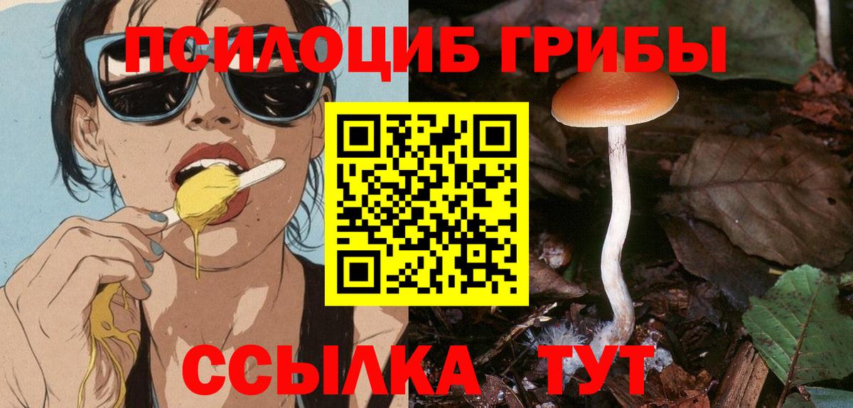 Галлюциногенные грибы ЛСД  Вход с VPN  купить наркотик  Мценск 